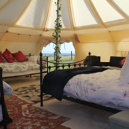Tal-Y-Fan Farm 6M Stargazer Tent Бридженд Екстериор снимка